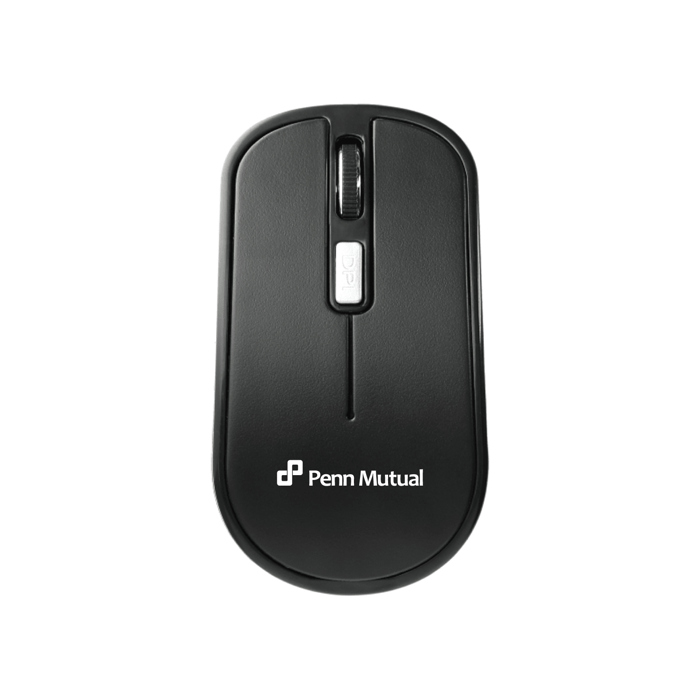 Flash Portable Wireless Mouse