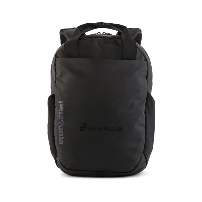 Patagonia Atom Tote Pack 20L